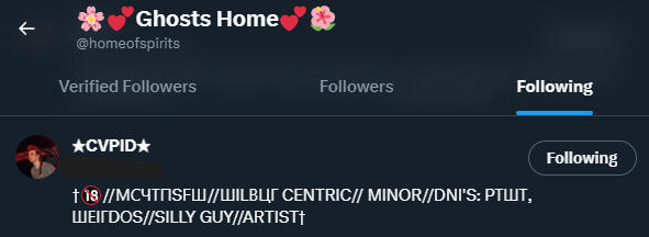 More Minors NSFW Accounts